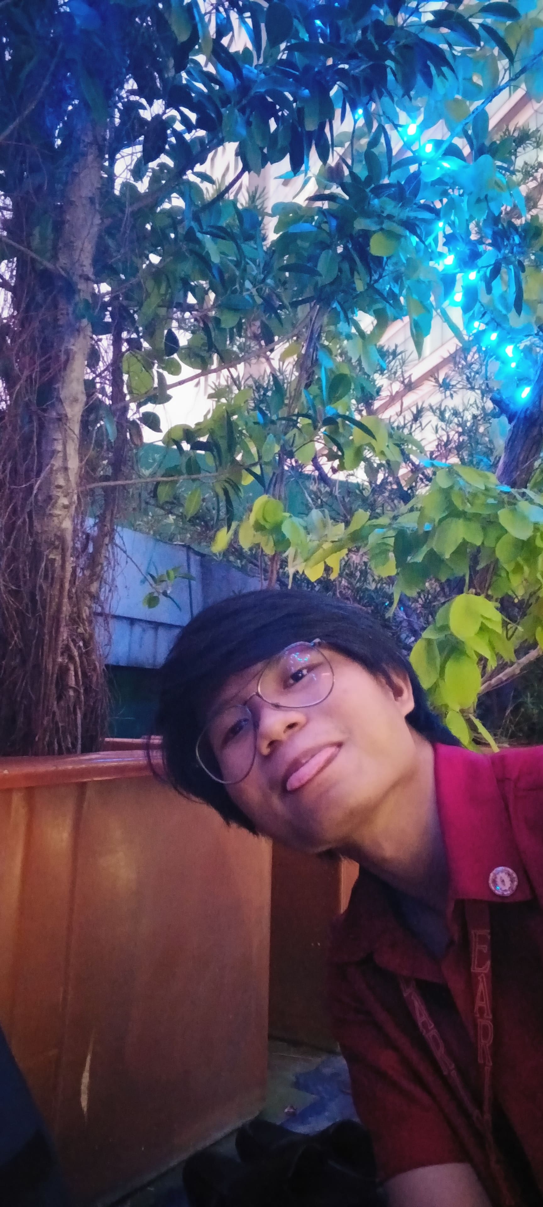 Vertical memory photo